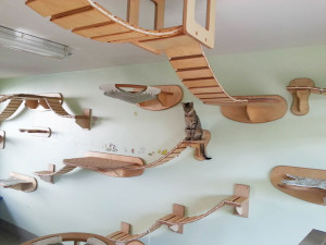 cat-furniture-creative-design-361